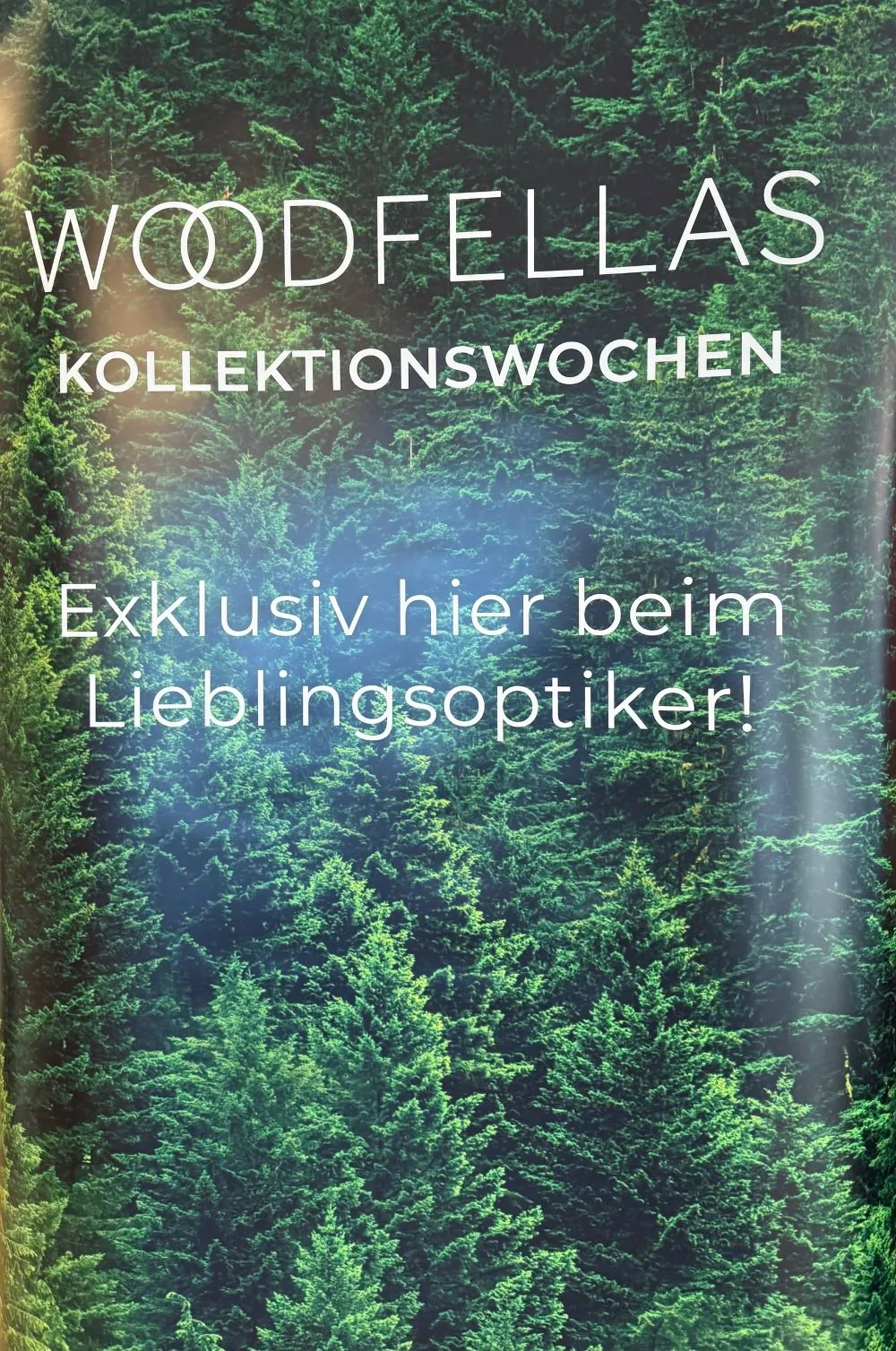 Brillen mit etui